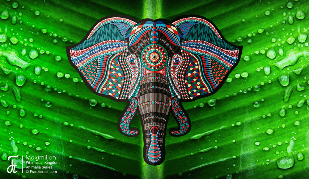elephant-gif-animation-baja